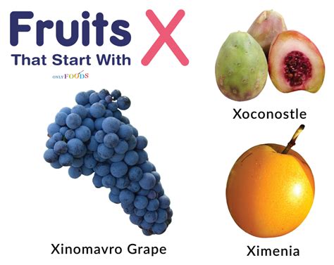 fruits that starts with x